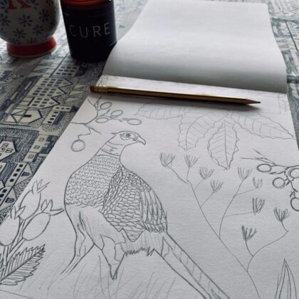 Pheasant in autumn sketching