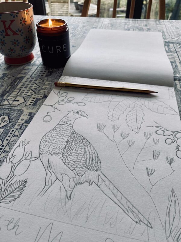 Pheasant in autumn sketching